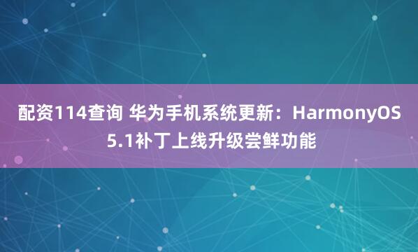 配资114查询 华为手机系统更新：HarmonyOS 5.1补丁上线升级尝鲜功能